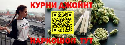 молекула духа Пугачёв