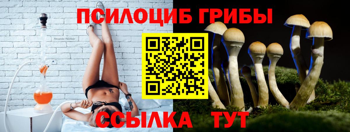 Псилоцибиновые грибы Cubensis  Вход с VPN  Заинск 