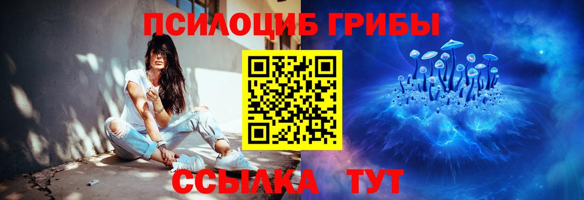 Псилоцибиновые грибы Psilocybe Заинск